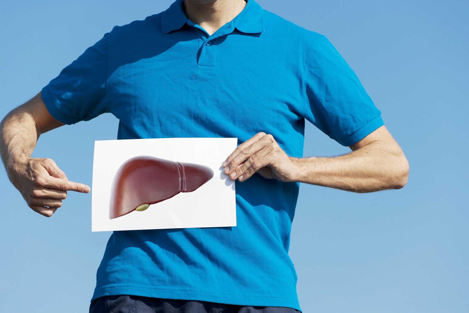 Enlarged Liver What Causes It And How It Can Be Prevented