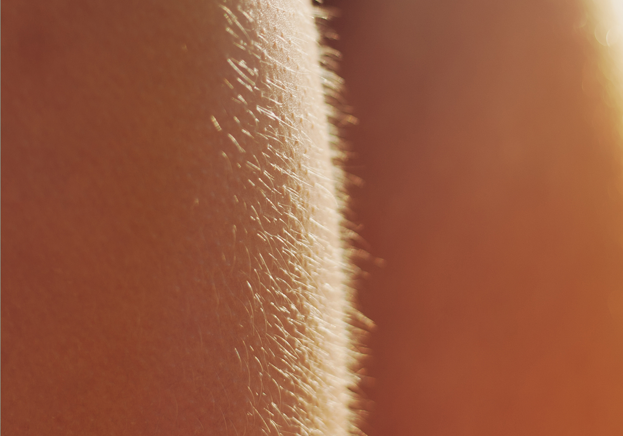   Pleasure, excitement, cold: getting goose bumps is a resulting r...
